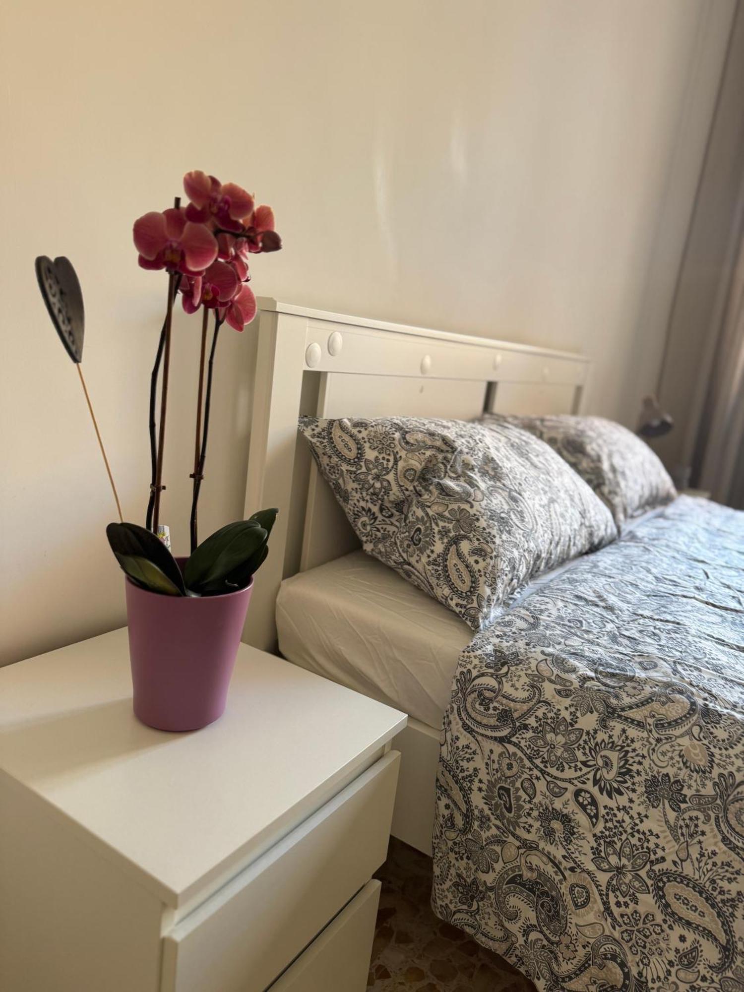 Appartamento con 2 Camere da Letto